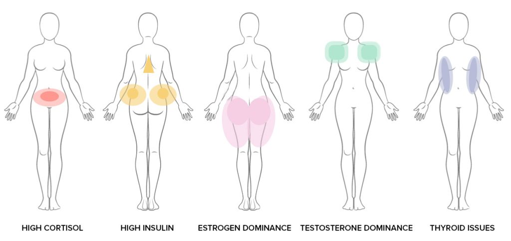 O que é predominância estrogênica ?